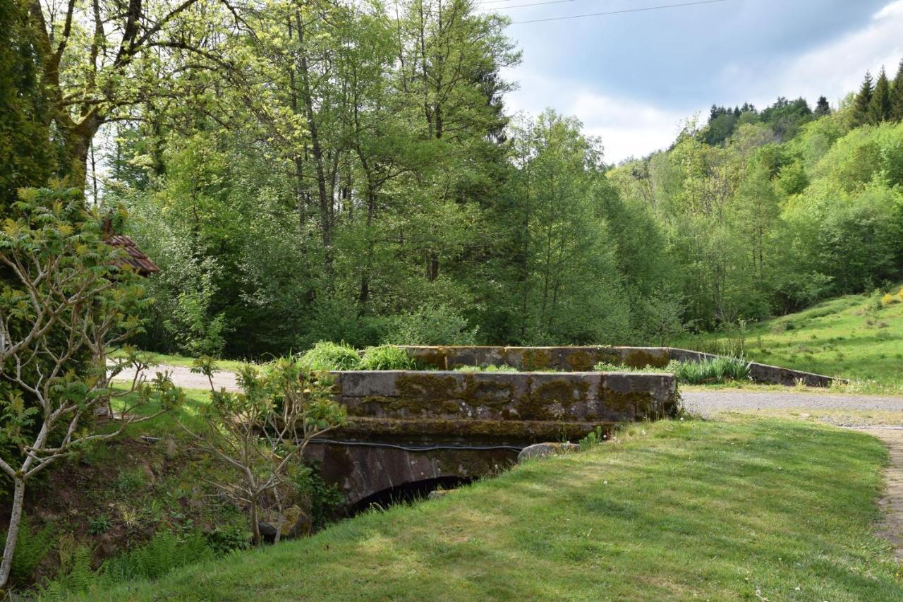Vacance Conviviales Dans Les Vosges 8 Gites Ban-de-Sapt Esterno foto
