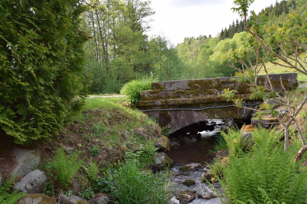 Vacance Conviviales Dans Les Vosges 8 Gites Ban-de-Sapt Esterno foto