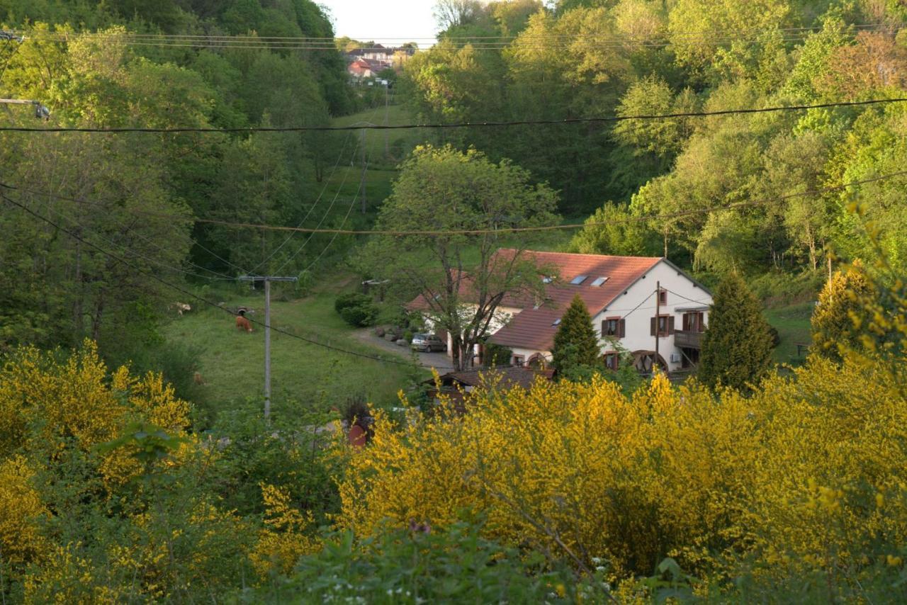 Vacance Conviviales Dans Les Vosges 8 Gites Ban-de-Sapt Esterno foto