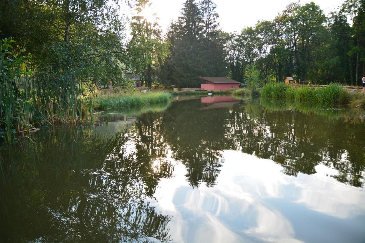 Vacance Conviviales Dans Les Vosges 8 Gites Ban-de-Sapt Esterno foto