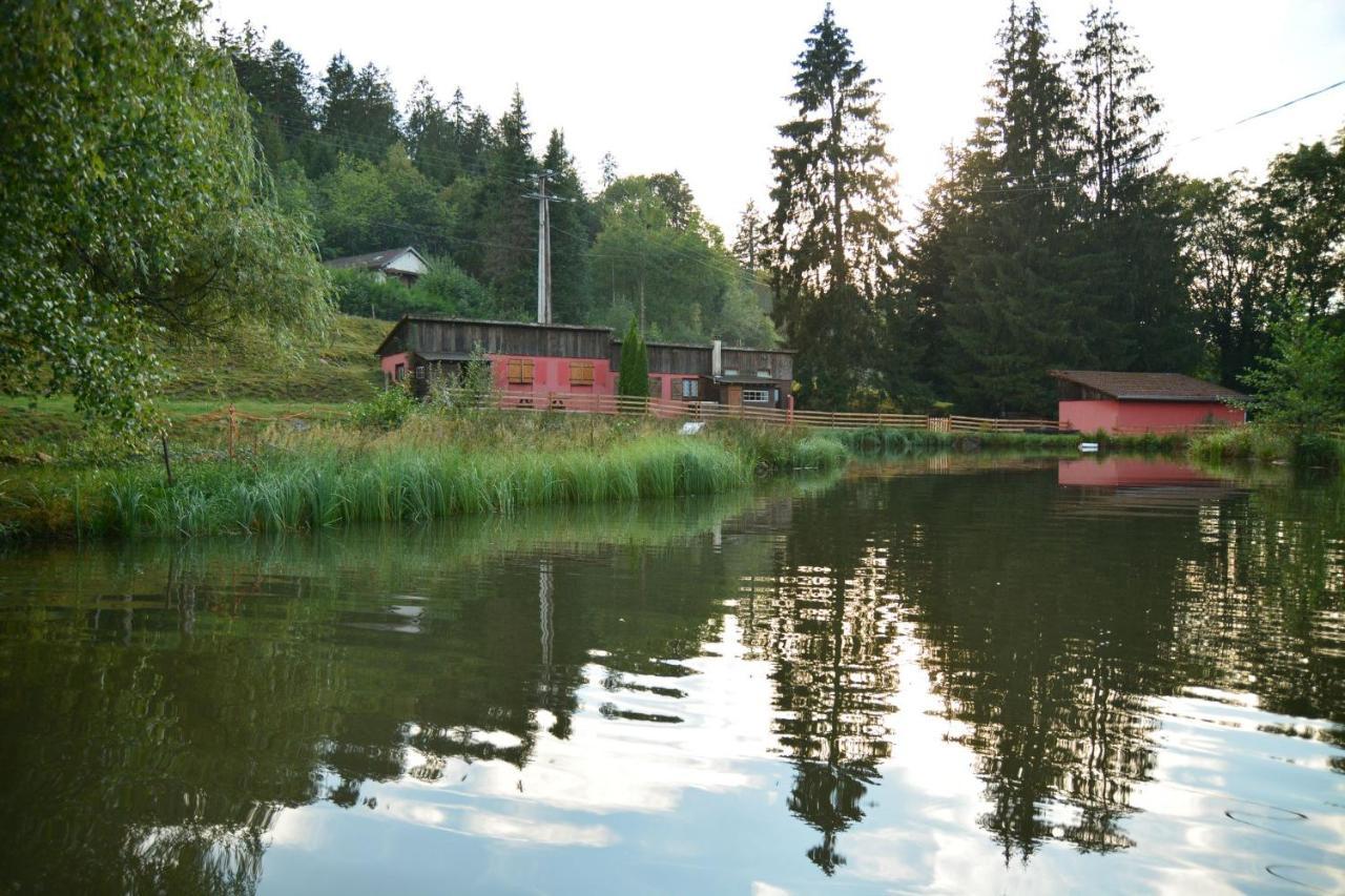 Vacance Conviviales Dans Les Vosges 8 Gites Ban-de-Sapt Esterno foto