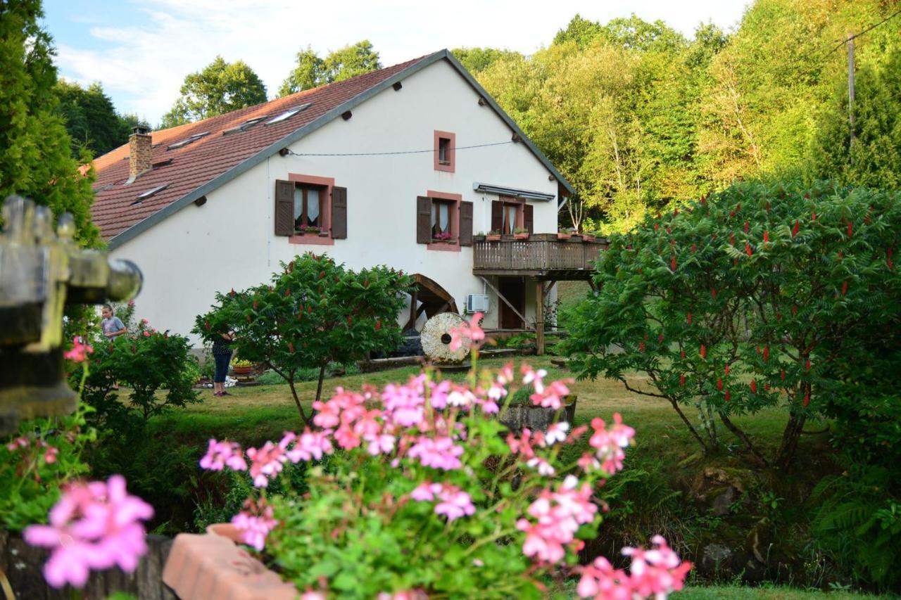 Vacance Conviviales Dans Les Vosges 8 Gites Ban-de-Sapt Esterno foto